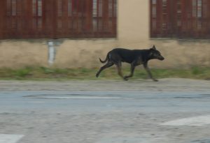 03_Mit_tehetnek_a telepules_donteshozoi_cov