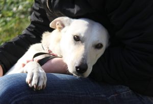 03_Szerepvállalók_felelőssége