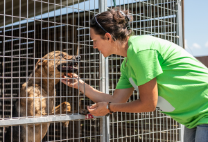 04_Állatvédő_szervezetek_szerepvállalása