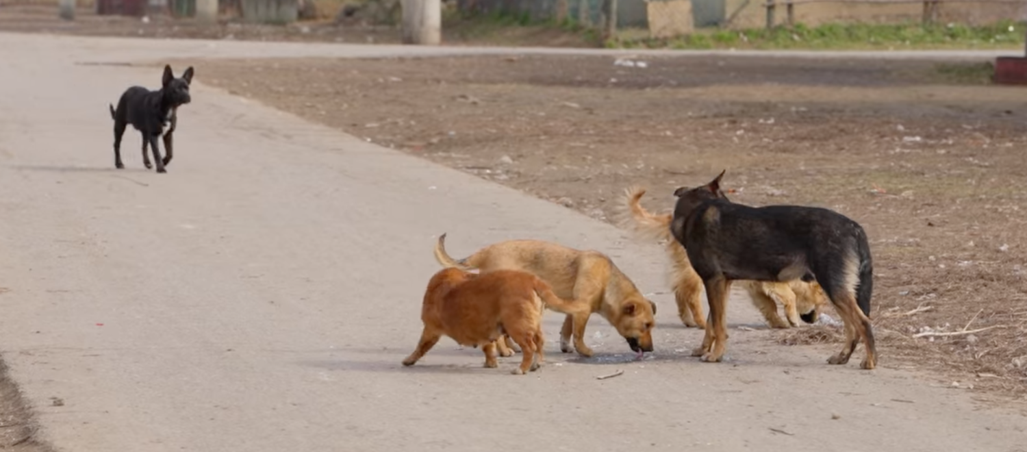 Képernyőfotó 2025-05-25 - 13.55.13